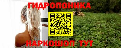 трава Пенза