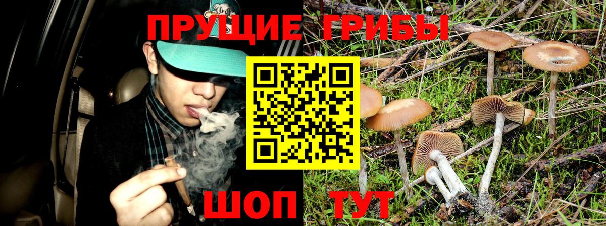 Галлюциногенные грибы мицелий Партизанск